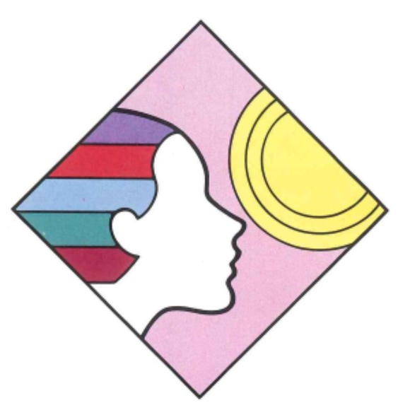 PROFESSIONAL COLOR ANALYSIS KIT FOR SALONS, STYLISTS, COLORISTS, OR ANYONE! - Picture 7 of 16